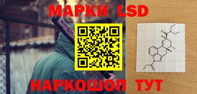 a pvp Свободный