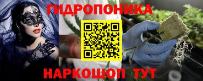 a pvp Свободный