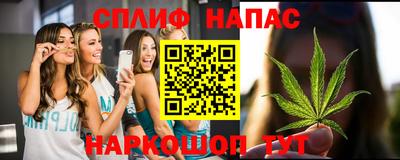 a pvp Свободный