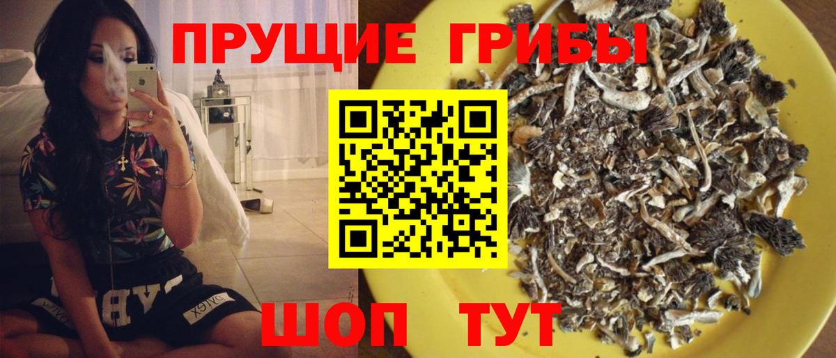 Галлюциногенные грибы мухоморы  Вход с VPN  Самара 
